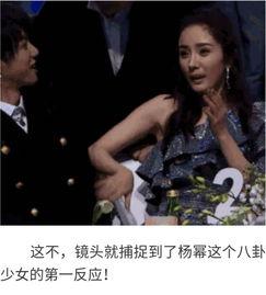 明星吃瓜八卦娱乐小说