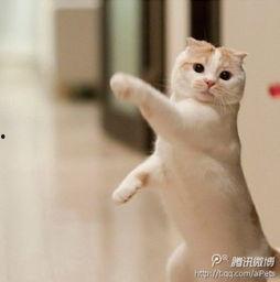 康雅馨生活照,生活照中的美好时光