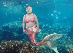 岳云鹏搞笑年画